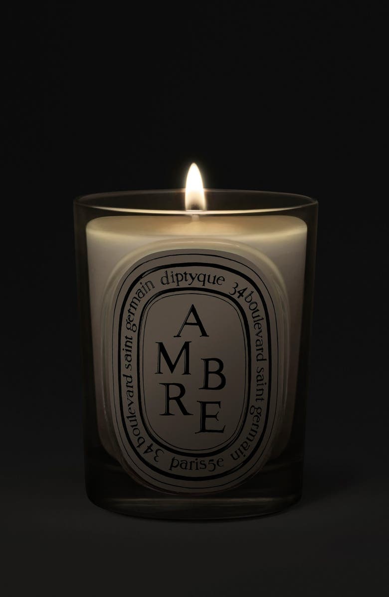 Diptyque Ambre (Amber) Classic Candle, Alternate, color, 