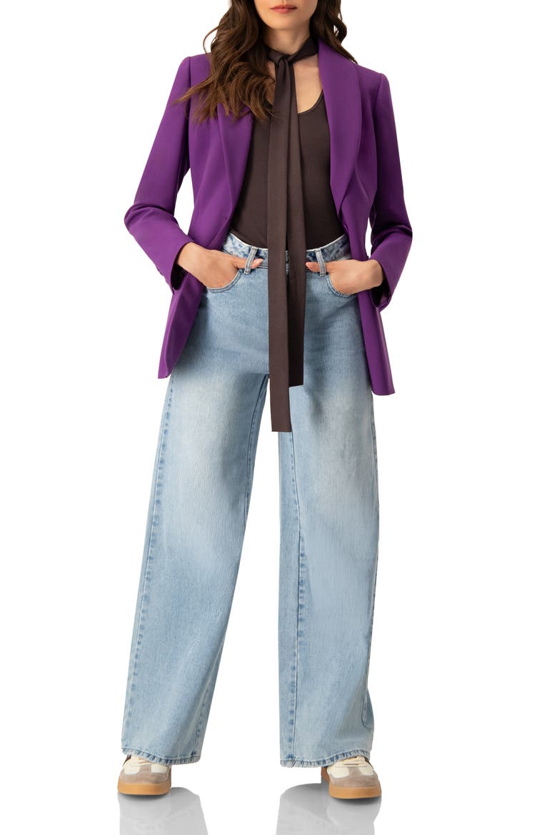 Shwal Collar Single-Breasted Blazer, Alternate, color, Purple