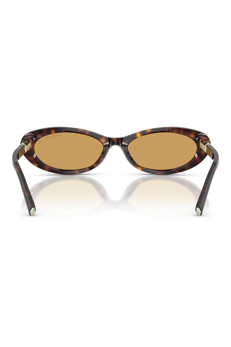56mm Oval Sunglasses, Alternate, color, HAVANA / ORANGE MIRROR SILVER
