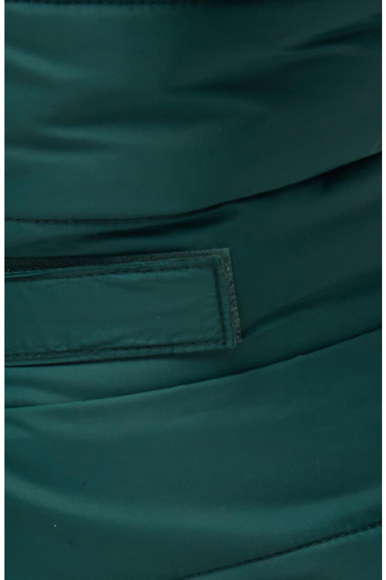 Baffle Quilted Dog Coat, Alternate, color, EVERGREEN