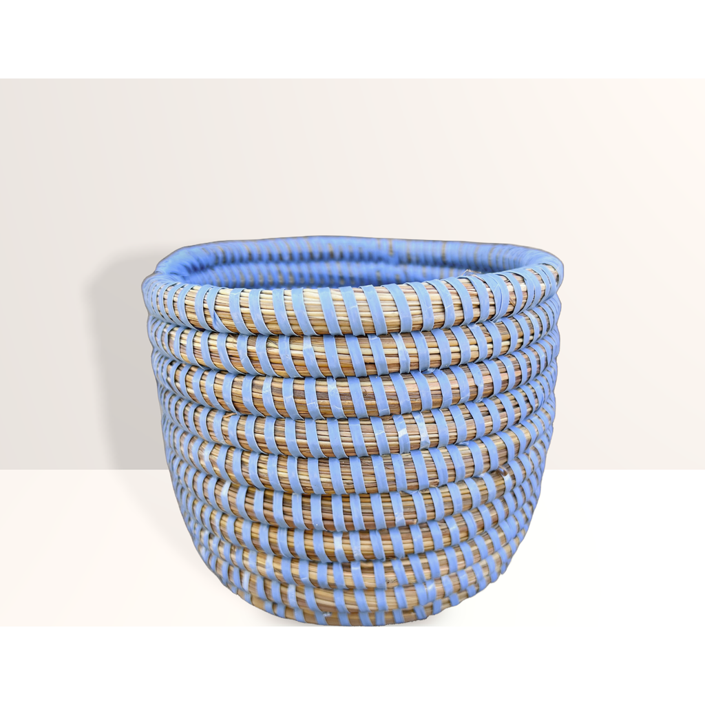Mbare Succulent Basket Planter Success In Blue