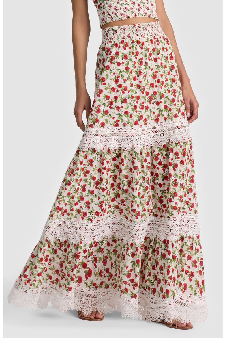 Reise Embroidered Tiered Maxi Skirt, Alternate, color, SUMMER POPPY SM