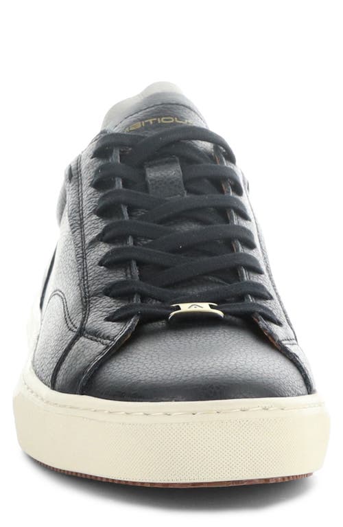 AMBITIOUS AMBITIOUS 12403 LOW TOP SNEAKER