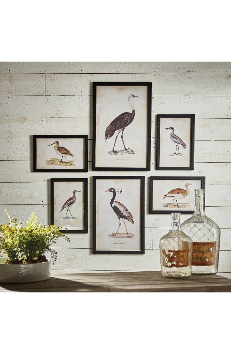 Napa Home & Garden Waterfowl Gallery, Set Of 6, Alternate, color, Black