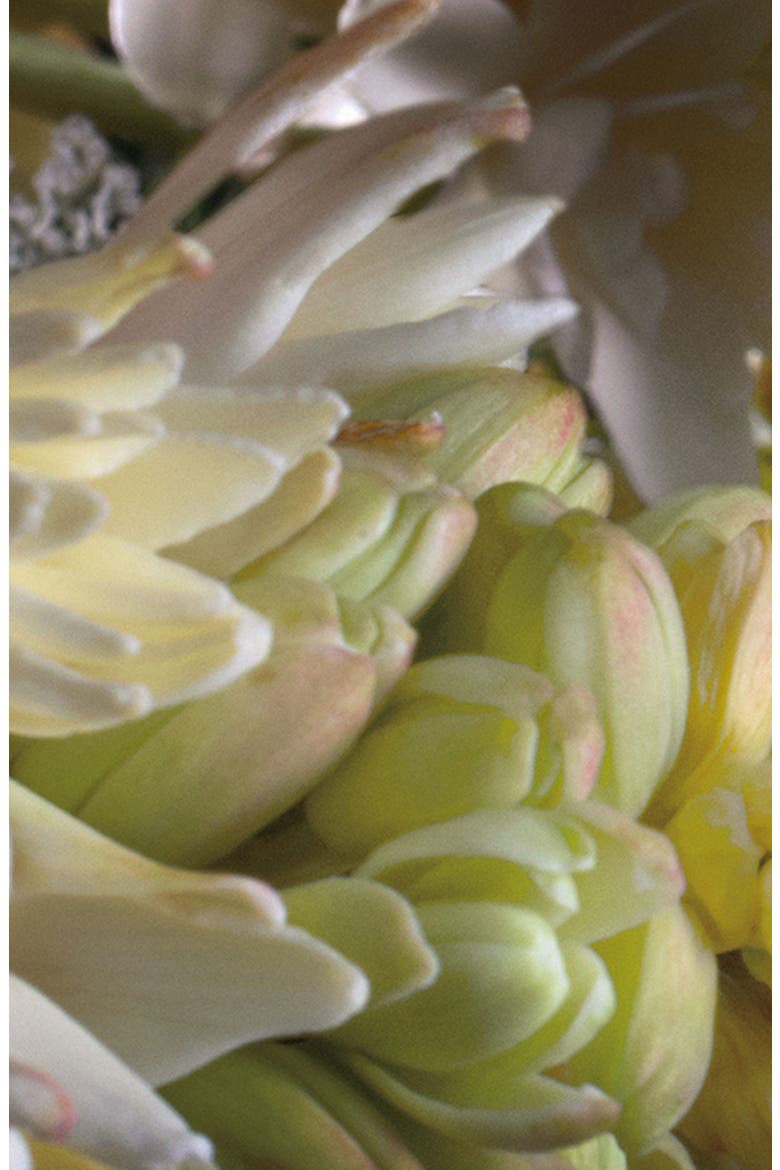 London™ Tuberose Angelica Cologne Intense, Alternate, color, NO COLOR