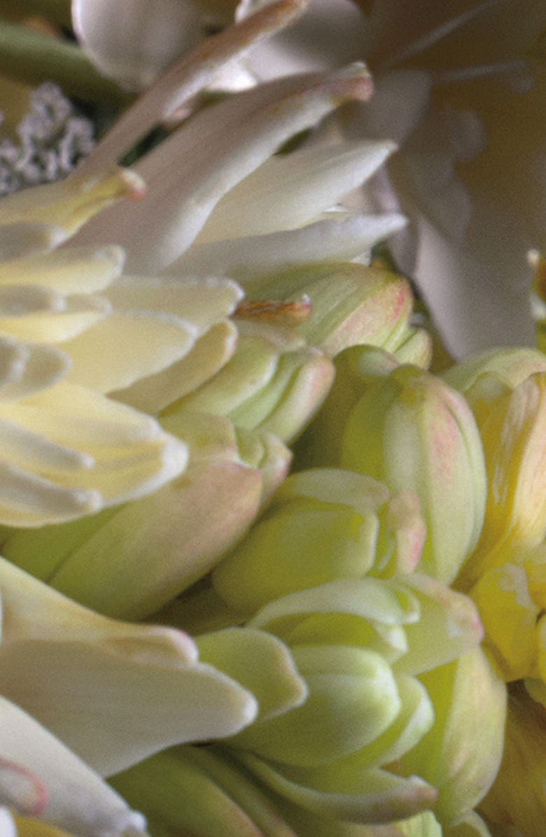 Jo Malone London<sup>™</sup> Tuberose Angelica Cologne Intense, Alternate, color,