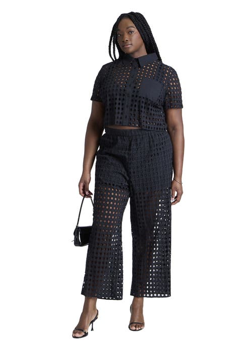 Sheer Eyelet Pant (Plus Available)