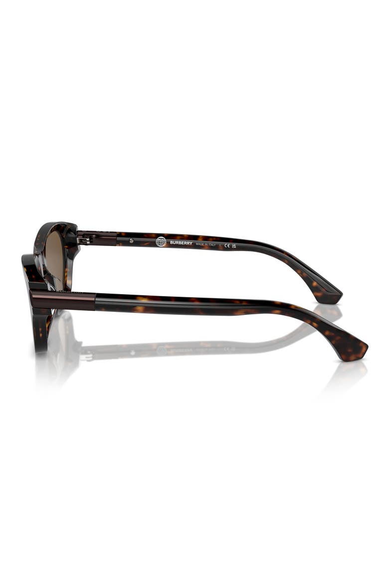 55mm Pillow Sunglasses, Alternate, color, DARK HAVANA