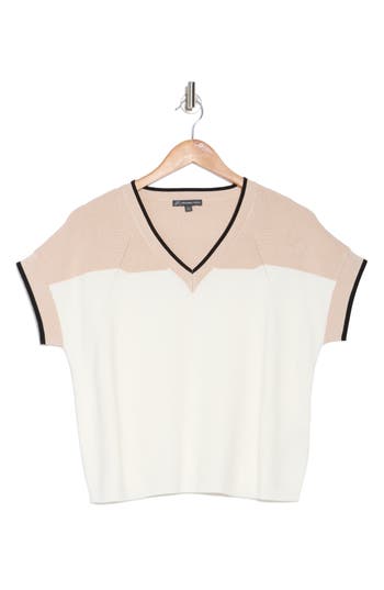 ADRIANNA PAPELL ADRIANNA PAPELL COLORBLOCK V-NECK SHORT SLEEVE SWEATER 