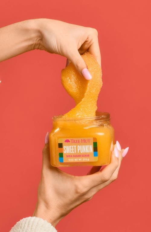 Tree Hut Sweet Punkin Shea Sugar Scrub In Transparent