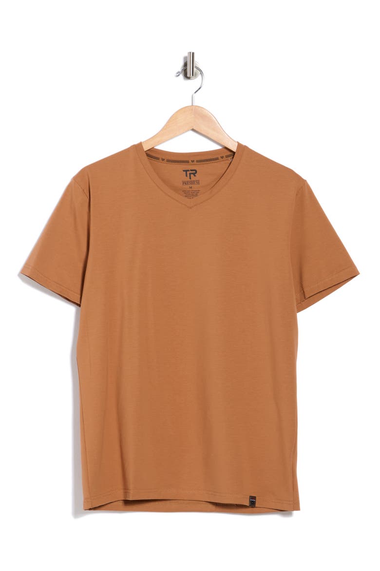 Solid V-Neck T-Shirt, Alternate, color, MOCHA