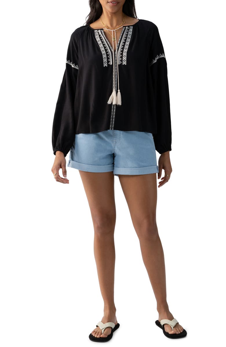 Sanctuary Embroidered Tie Neck Top, Alternate, color,