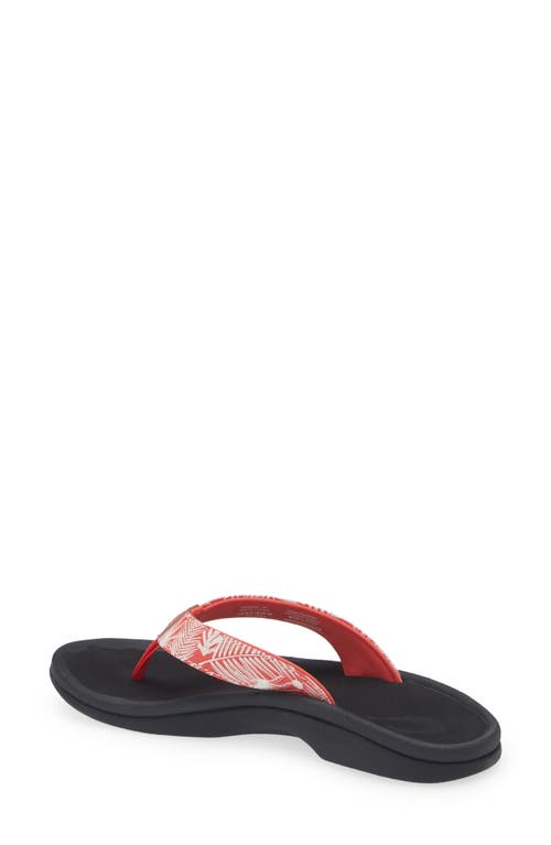 Olukai Ohana Flip Flop In Multi