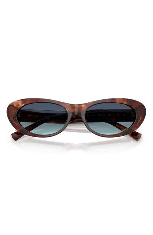 Tiffany & Co . 55mm Oval Sunglasses In Brown