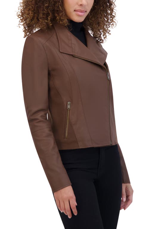 Andrew Marc Felix Leather Crop Moto Jacket In Brown