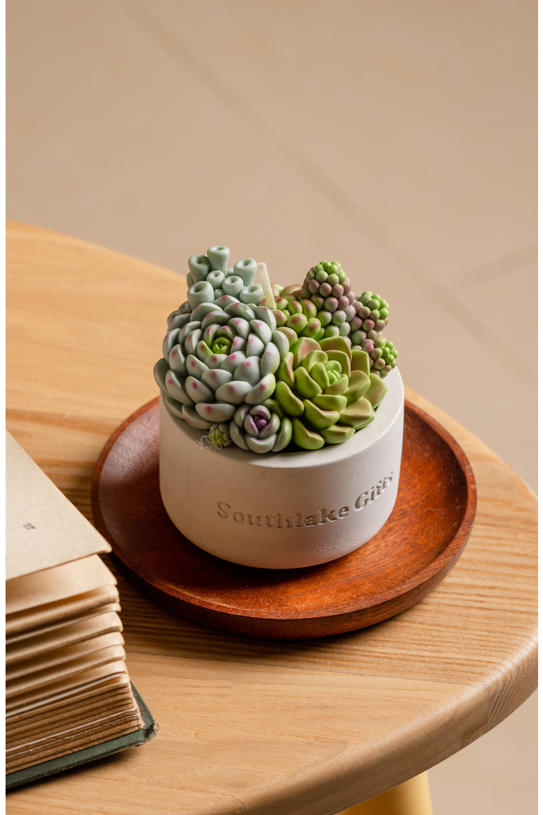Succulent Candle in Concrete Vessel, Alternate, color, Jade / Lilac / Sage