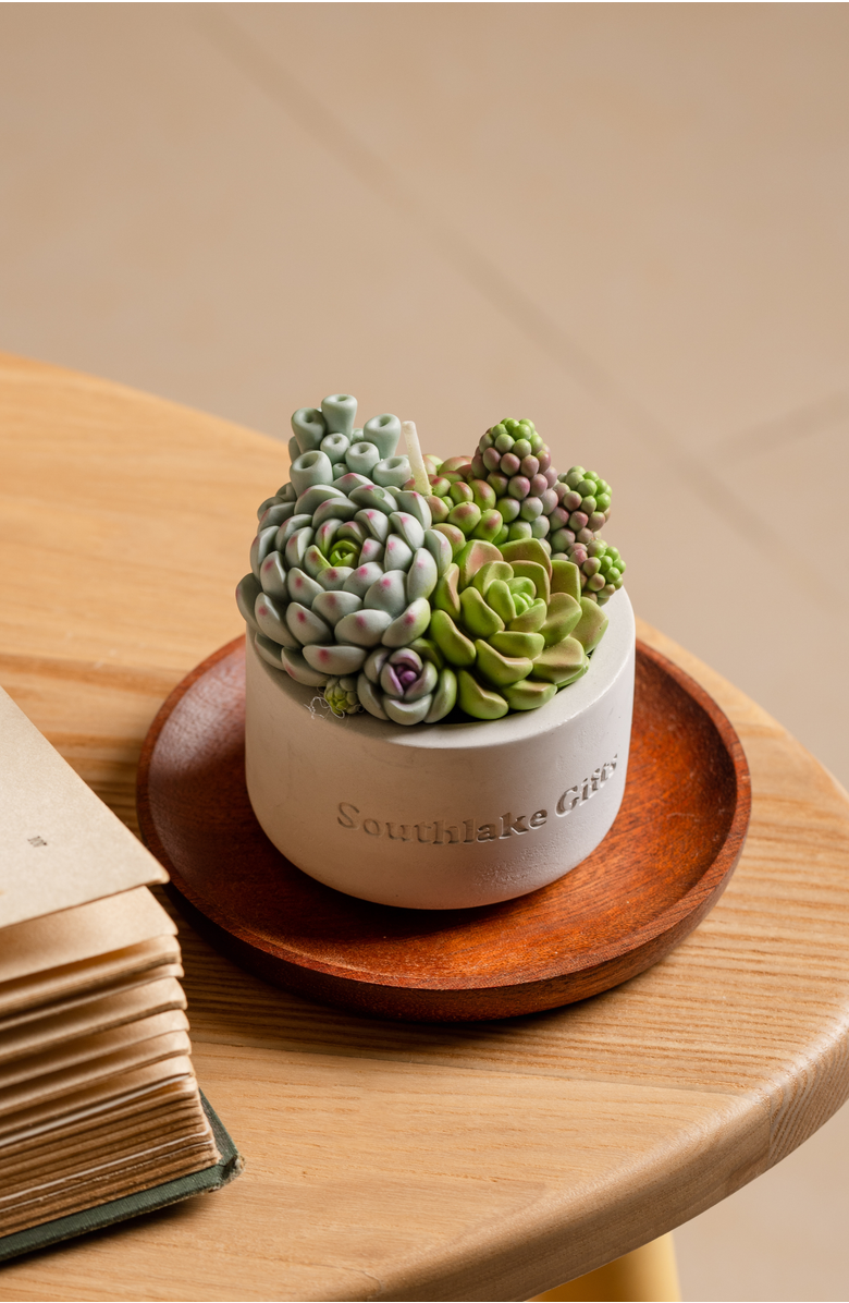 Southlake gifts Succulent Candle in Concrete Vessel, Alternate, color, Jade / Lilac / Sage