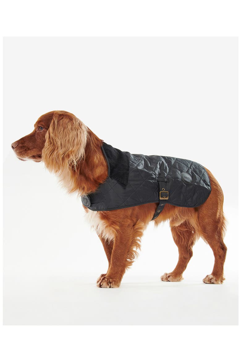 Quilted Dog Coat, Alternate, color, BLACK