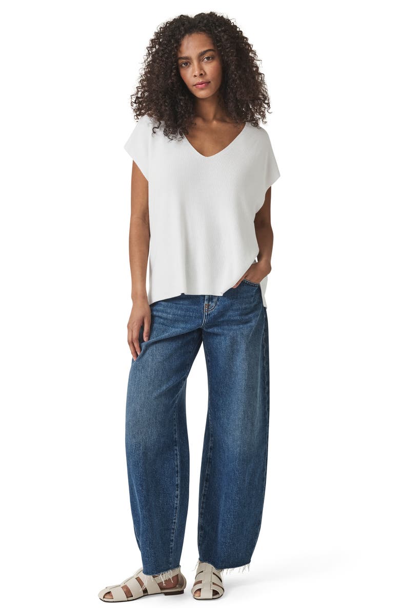 Splendid Octavia V-Neck Short Sleeve Sweater, Alternate, color, 