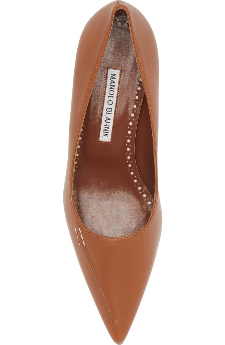 Manolo Blahnik Homeraso Pointed Toe Pump, Alternate, color,