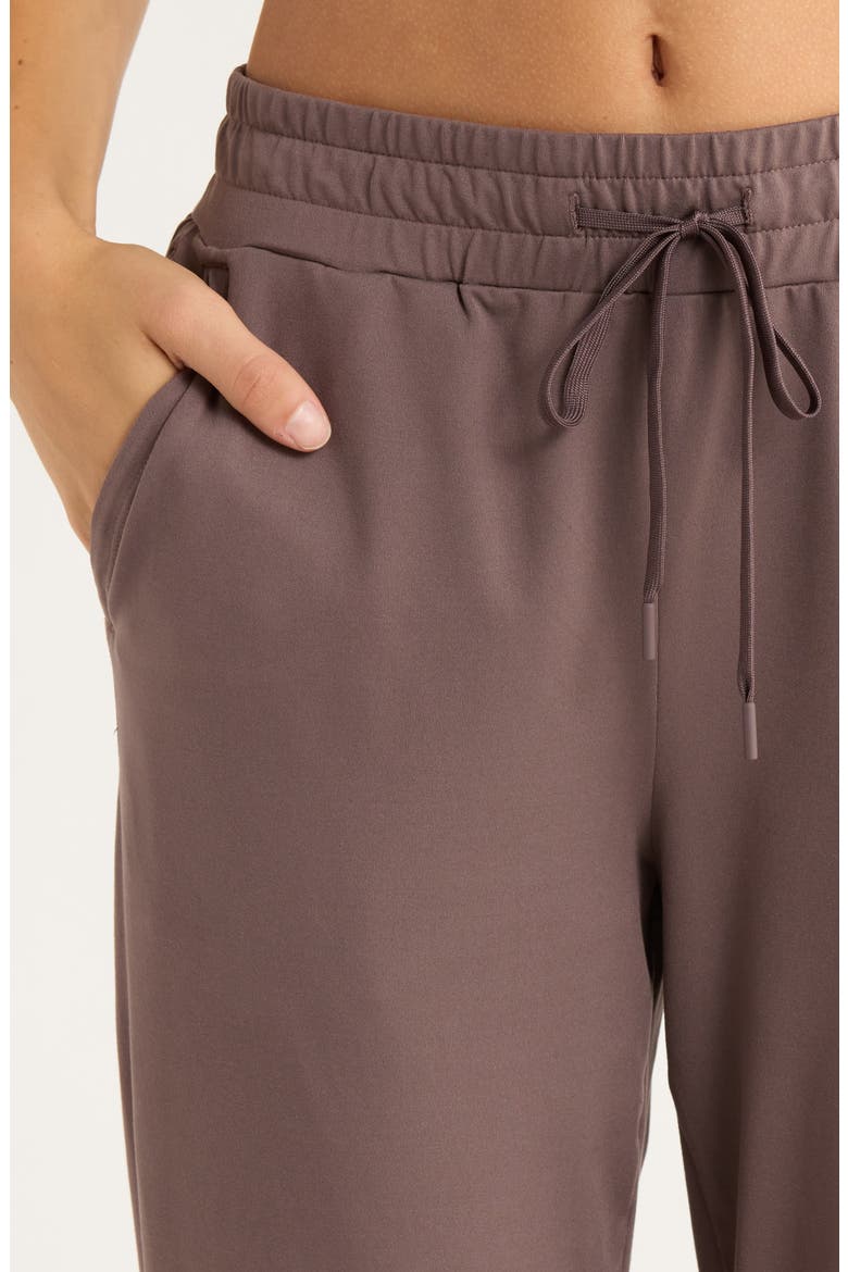 Move In Pocket Joggers, Alternate, color, GREY PLUM