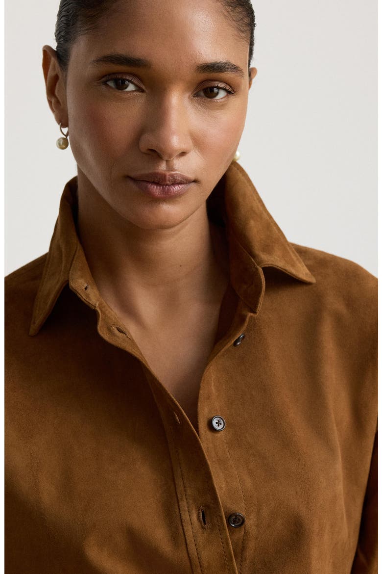 Suede Long Sleeve Shirt, Alternate, color, LIGHT TOBACCO BROWN