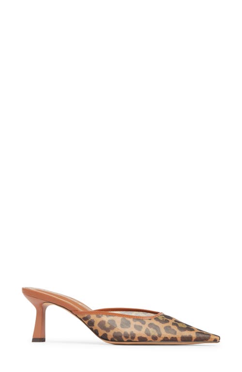 Steve Madden Lisbeth Pointed Toe Mule
