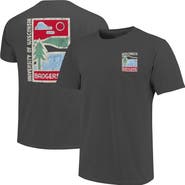 IMAGE ONE Men's Graphite Wisconsin Badgers Comfort Colors Minimal Vista Distressed Graphics T-Shirt