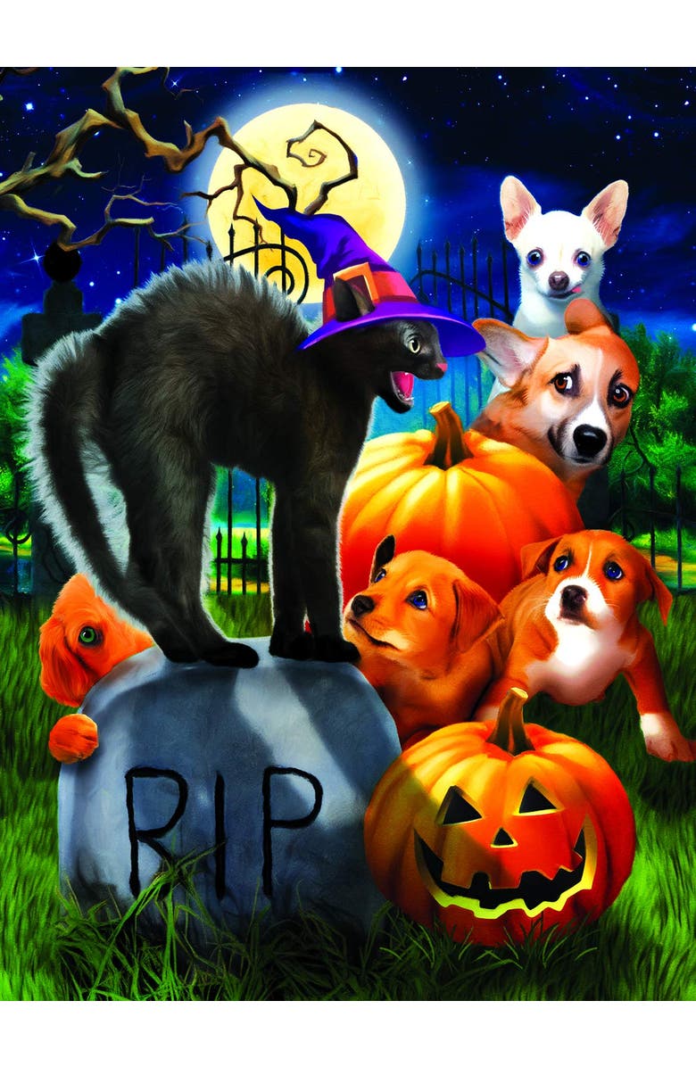 Sunsout Don't mess with Kitty 1000 piece Jigsaw Puzzle for Adults, Alternate, color, Multicolor