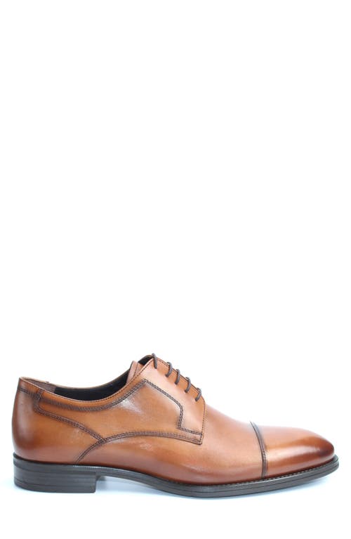 Vellapais Yardley Cap Toe Derby In Brown