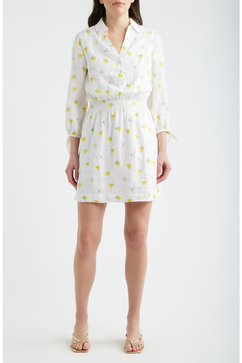 Abralynn Linen Shirtdress, Main, color, PINK MUSE LEMON BEE HALF DROP
