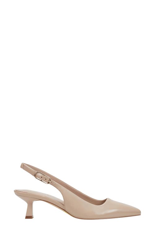 Marc Fisher Ltd Kory Pointed Toe Kitten Heel Pump In Light Natural
