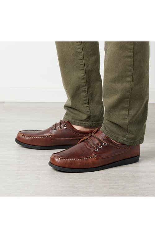 Quoddy Blucher Shoe In Brown