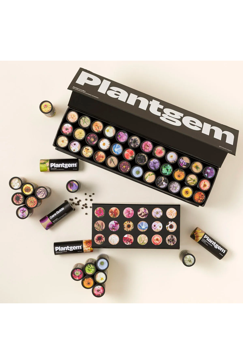 Flower Garden in a Box by Plantgem, Main, color, Set of 18