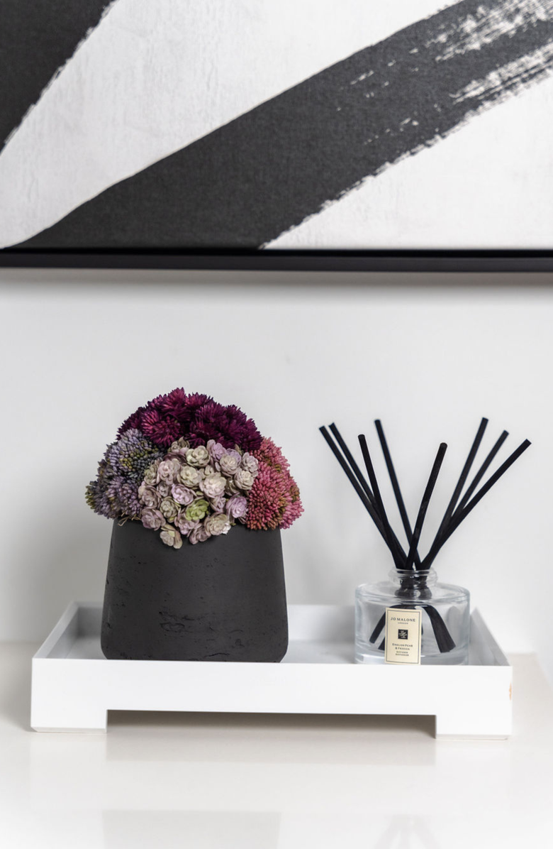 CocoBella Neriah Mini Sedum Arrangement, Alternate, color, Charcoal