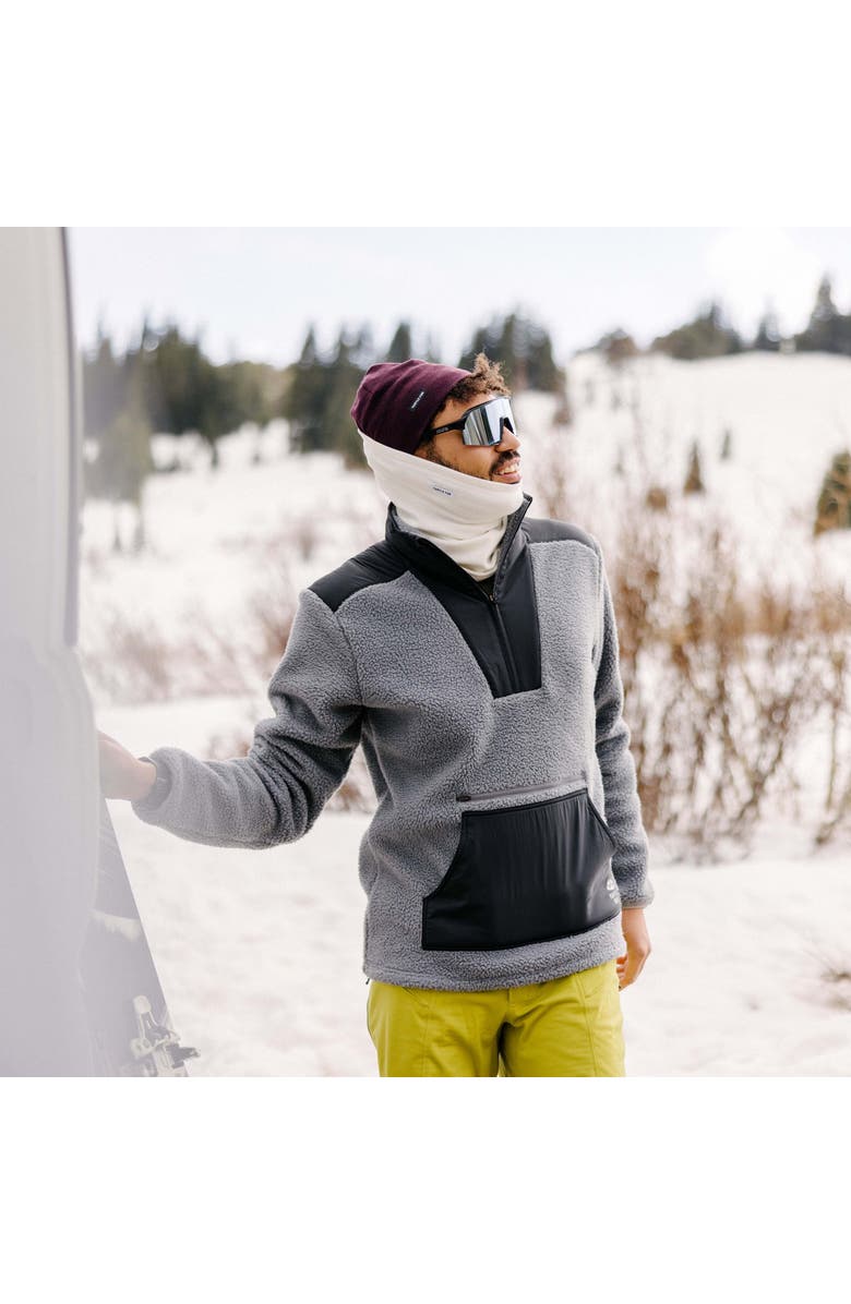 Turtle Fur Luxe Tube Neck Gaiter, Alternate, color, Plum