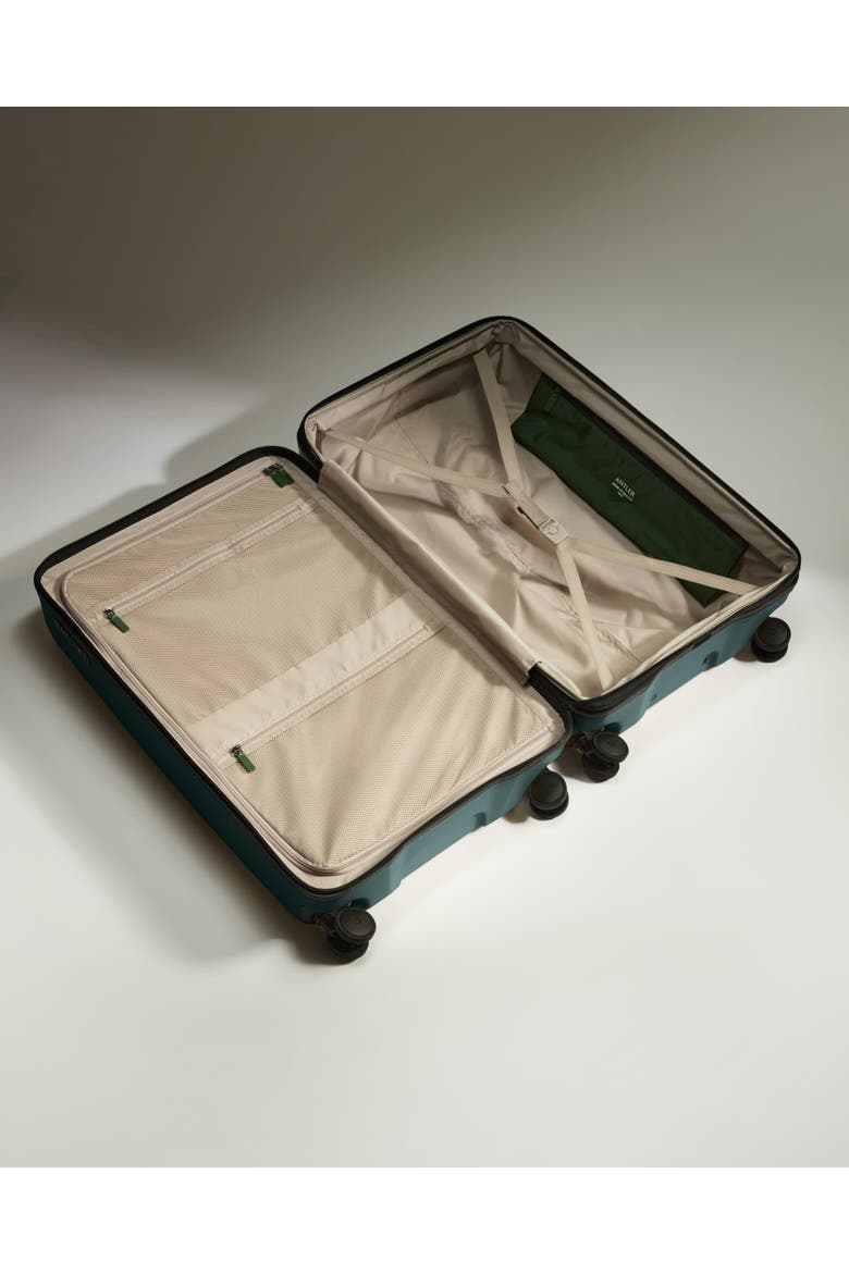 Icon Stripe Large Luggage, Alternate, color, Glade Blue