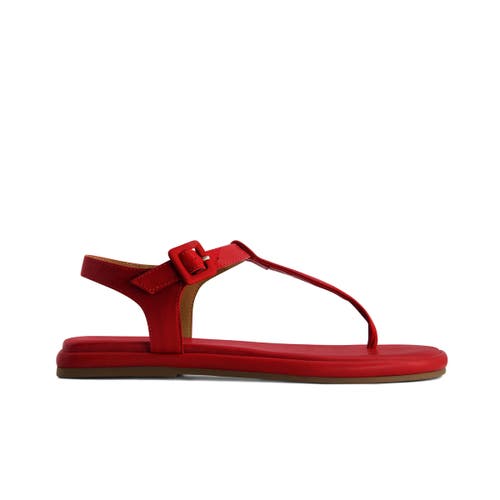 Shop Bernardo Footwear Tucson T-strap Sandal In Red