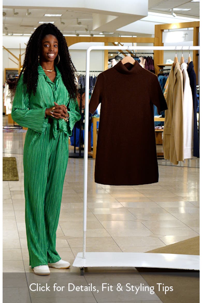 Agathe Turtleneck Cashmere Sweater Dress video
