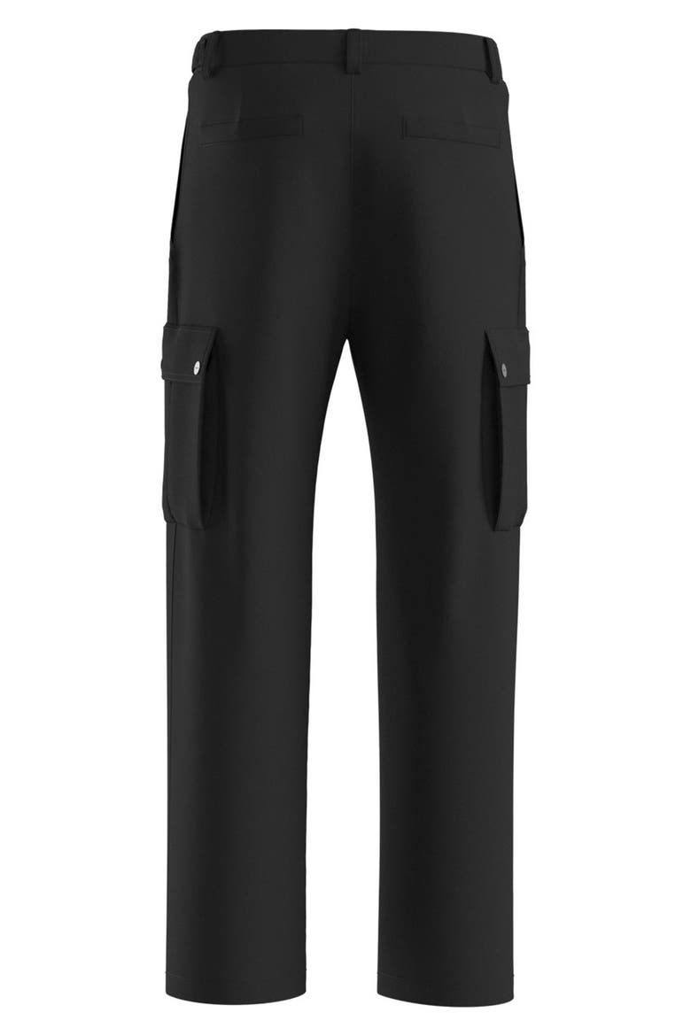 Craysen Pleated Cargo Pants, Alternate, color, BLACK