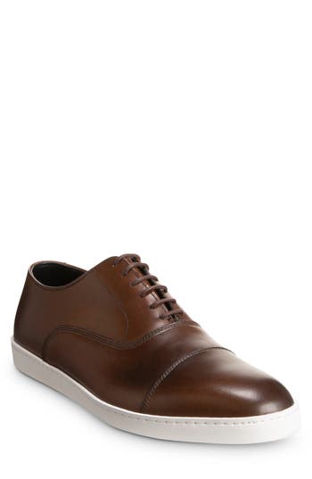 Allen Edmonds Park Sneaker In Bourbon