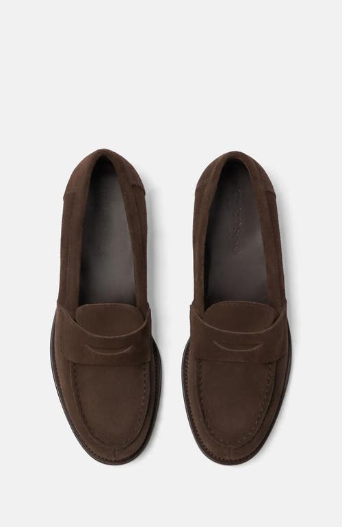 Scarosso Harper Suede Penny Loafers In Brown