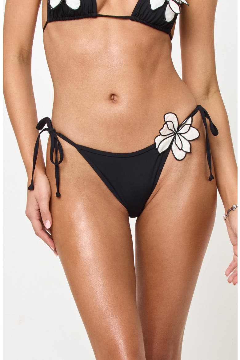 Levy Full Coverage Bikini Bottoms, Main, color, BLACK