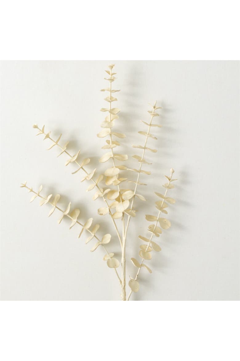 Sullivan's Eucalyptus Spray, Cream Faux Floral Stem for Crafting, Weddings, Home and Holiday Decoration, 22 Inch, Main, color, Beige