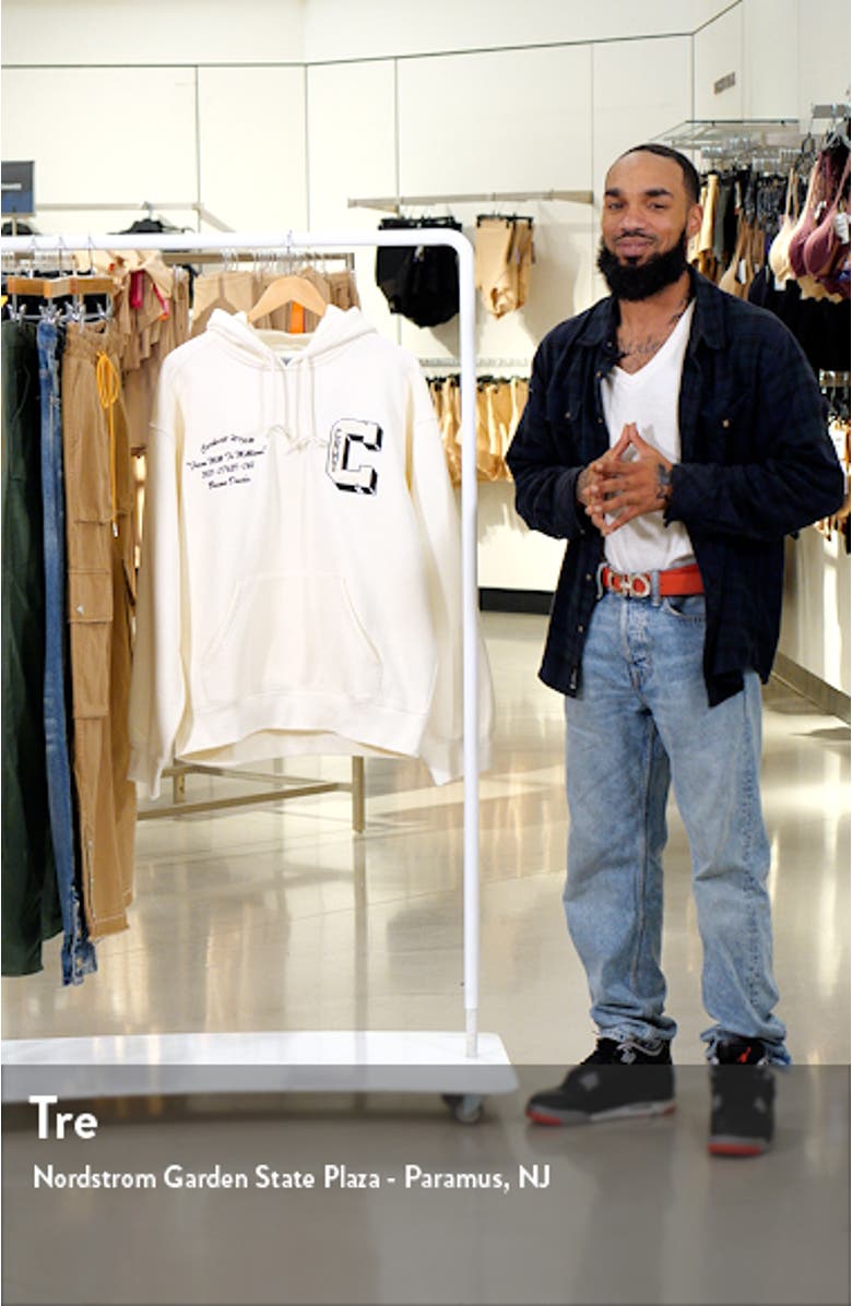 Brown Ducks Embroidered Graphic Hoodie, sales video thumbnail