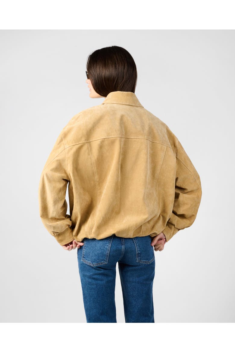 Premium Suede Bomber Jacket, Alternate, color, TAN