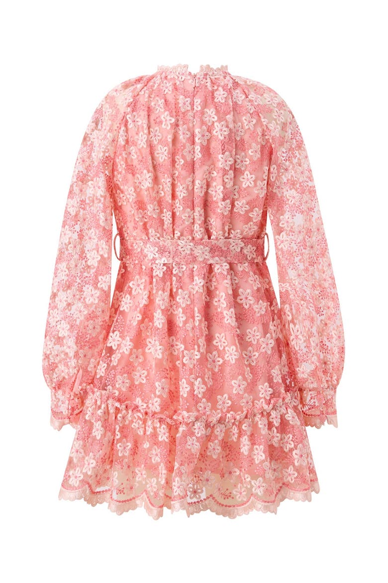 Julia Embroidered Mini Dress, Alternate, color, Peach