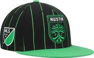 Mitchell & Ness Men's Mitchell & Ness Black Austin FC Team Pin Snapback Hat