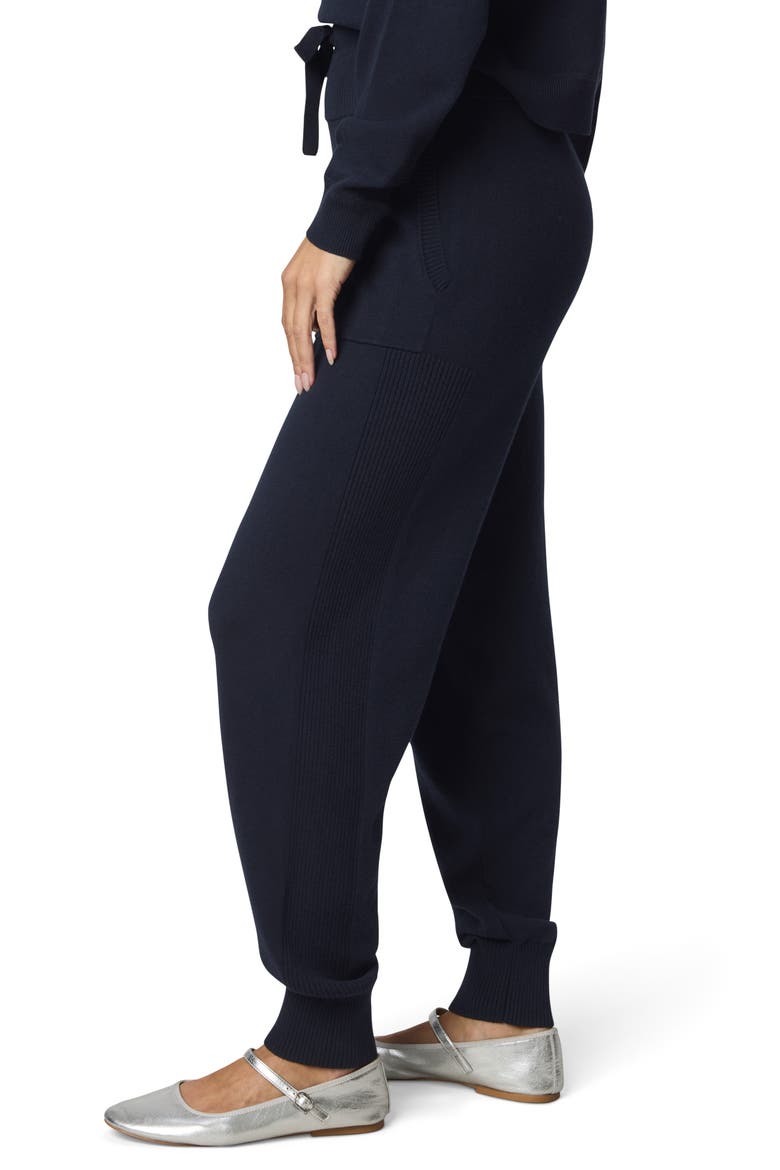 Phoebe Cotton Blend Knit Joggers, Alternate, color, NAVY BLUE