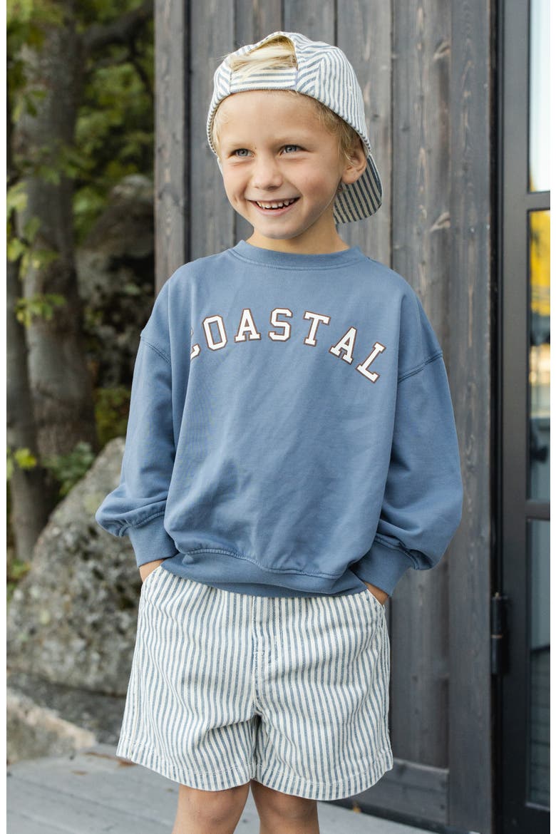 Kids' Graphic Cotton Blend Sweatshirt, Alternate, color, MARINE